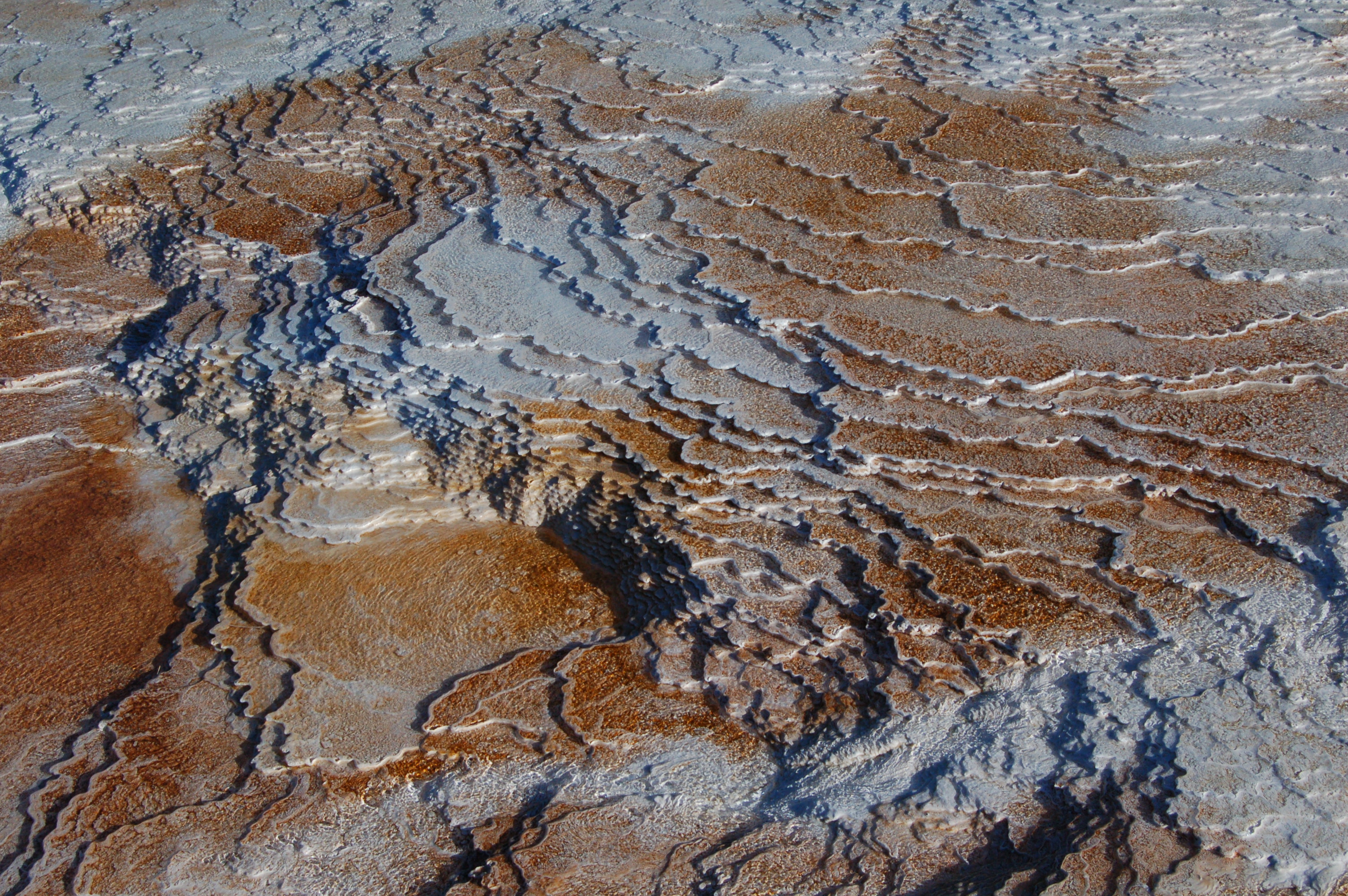 Contours, Mammoth Hot Springs, Yellowstone